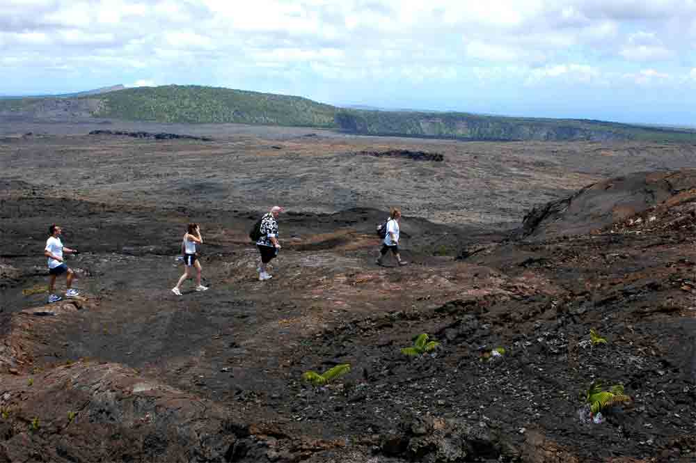 13 - EEUU - Hawaii, isla de Hawaii, P. N. de los volcanes, volcan Napau, subida
